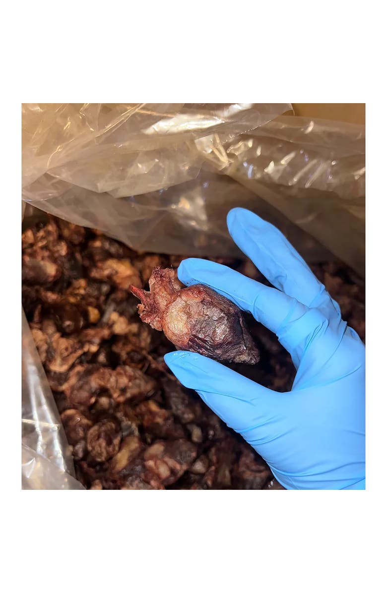 Pet Popcorn Freeze Dried Raw Treats, Duck Heart, 2.5oz Bag, Dog & Cat Snacks, Alternate, color, Multicolored