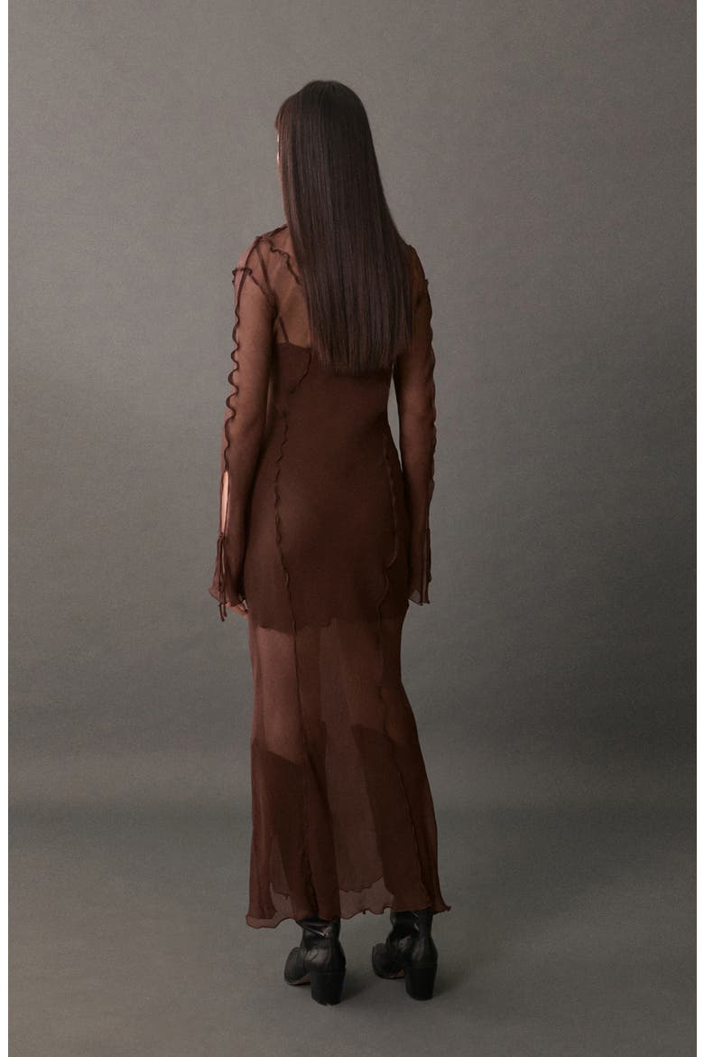 Claire Long Sleeve Sheer Maxi Dress, Alternate, color, BROWN