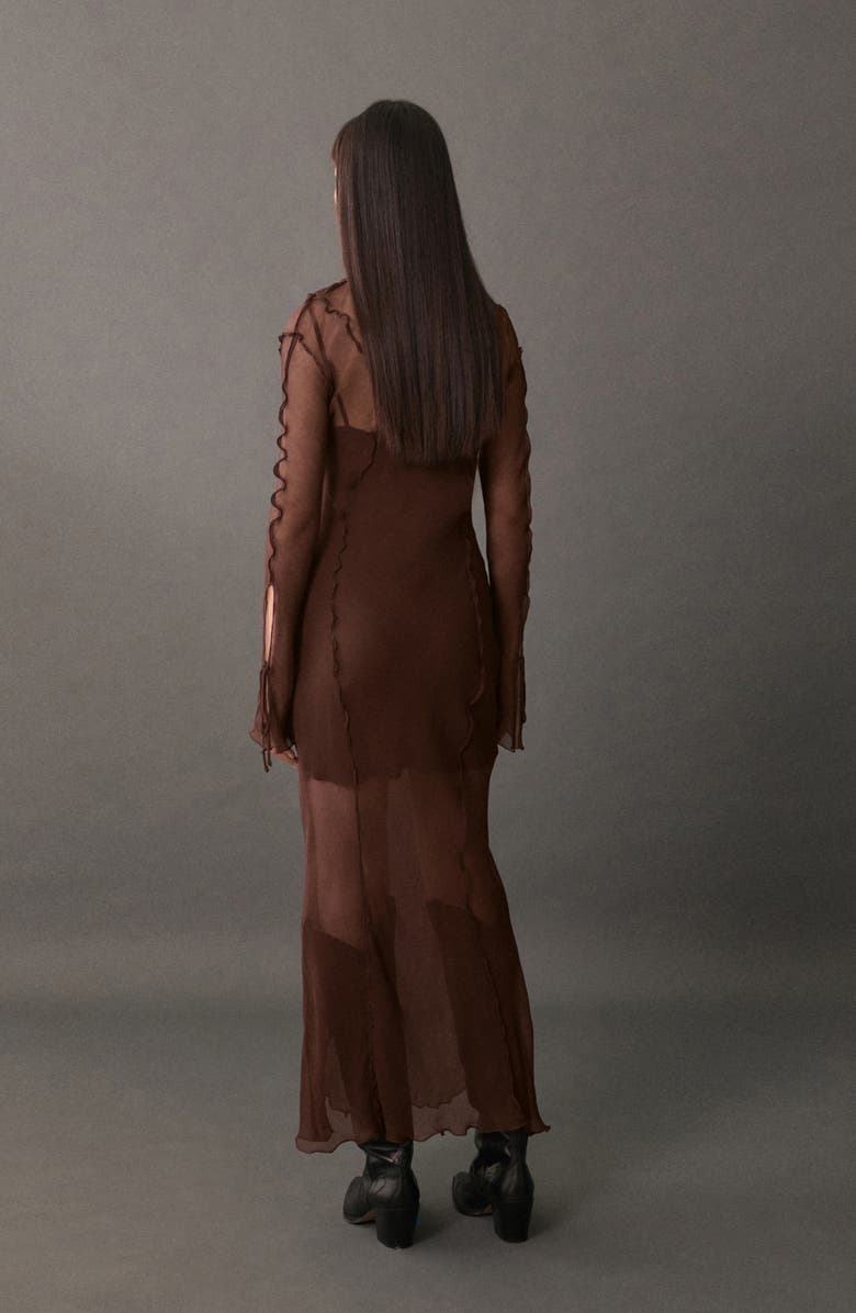 Claire Long Sleeve Sheer Maxi Dress