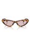  Honey Havana / Pink