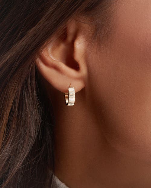 Zarux Golden Halo Hoops 4mm In Gold