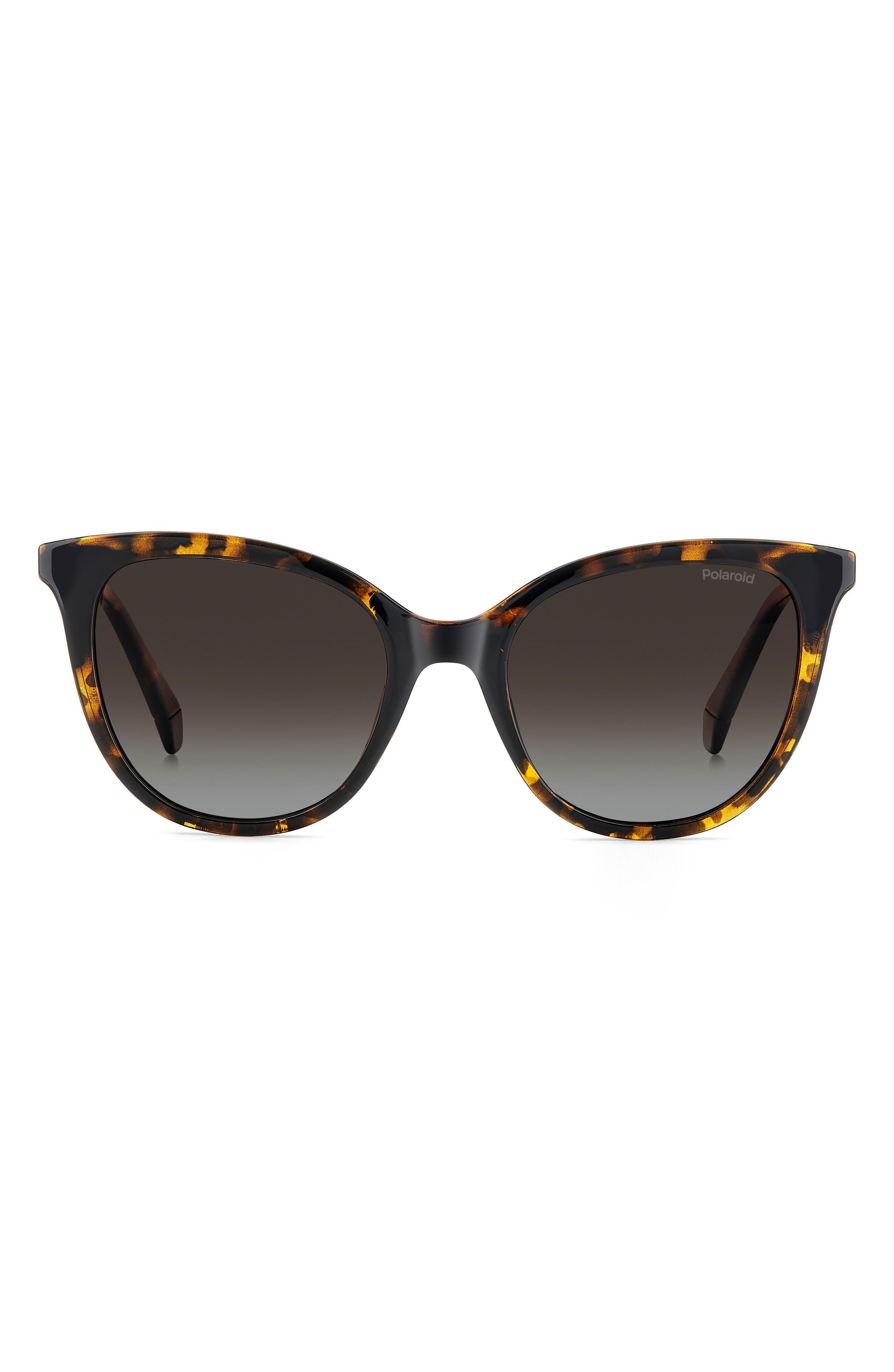 HAVANA/ BROWN SF POLAR