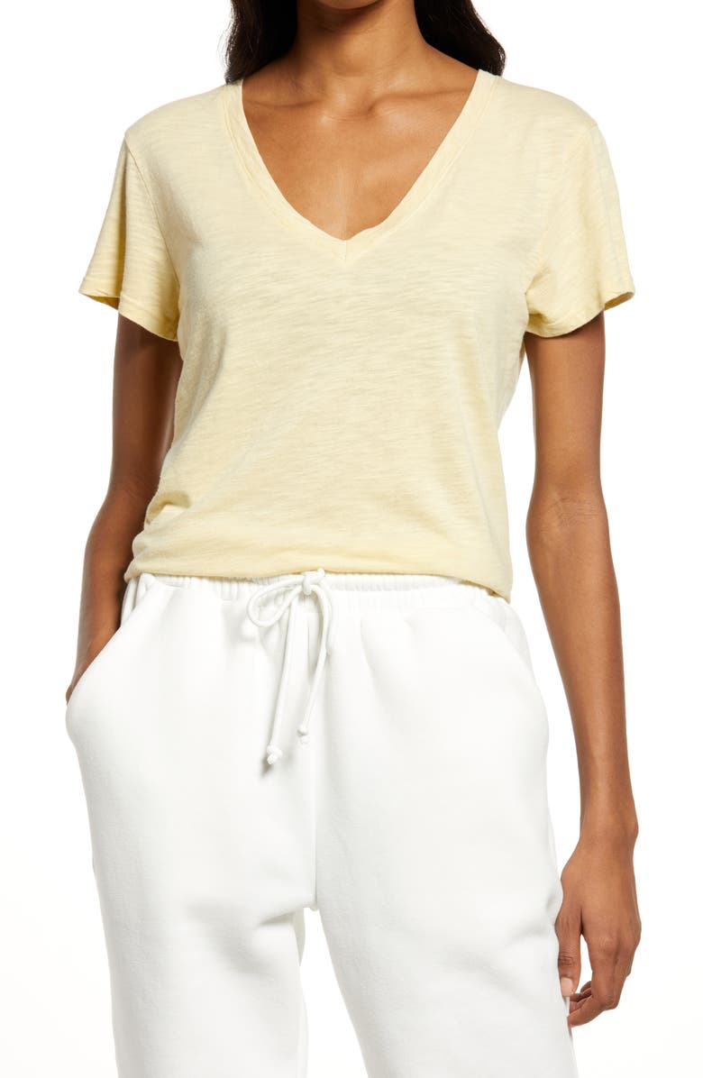Splendid Botanical V-Neck Cotton & Modal Tee, Main, color, 