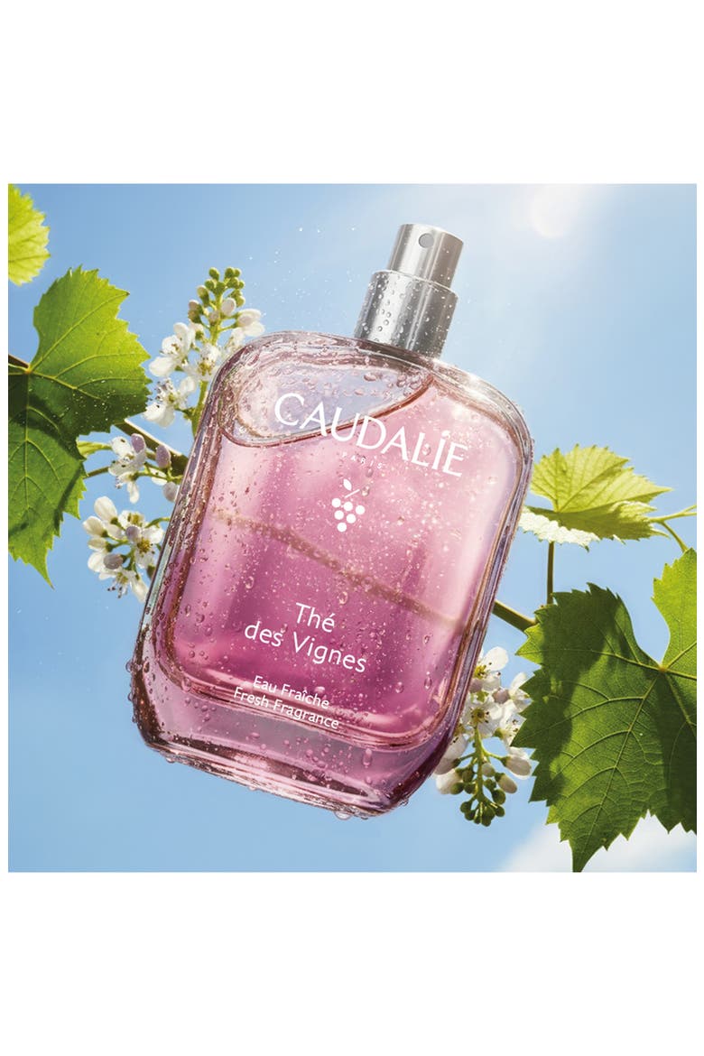 Thé des Vignes Fresh Fragrance, Alternate, color, NO COLOR