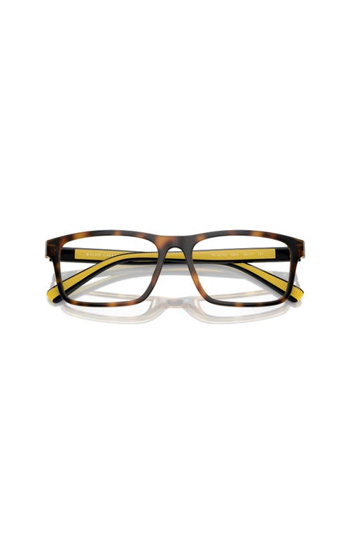 Polo Ralph Lauren 56mm Rectangle Optical Glasses In Brown