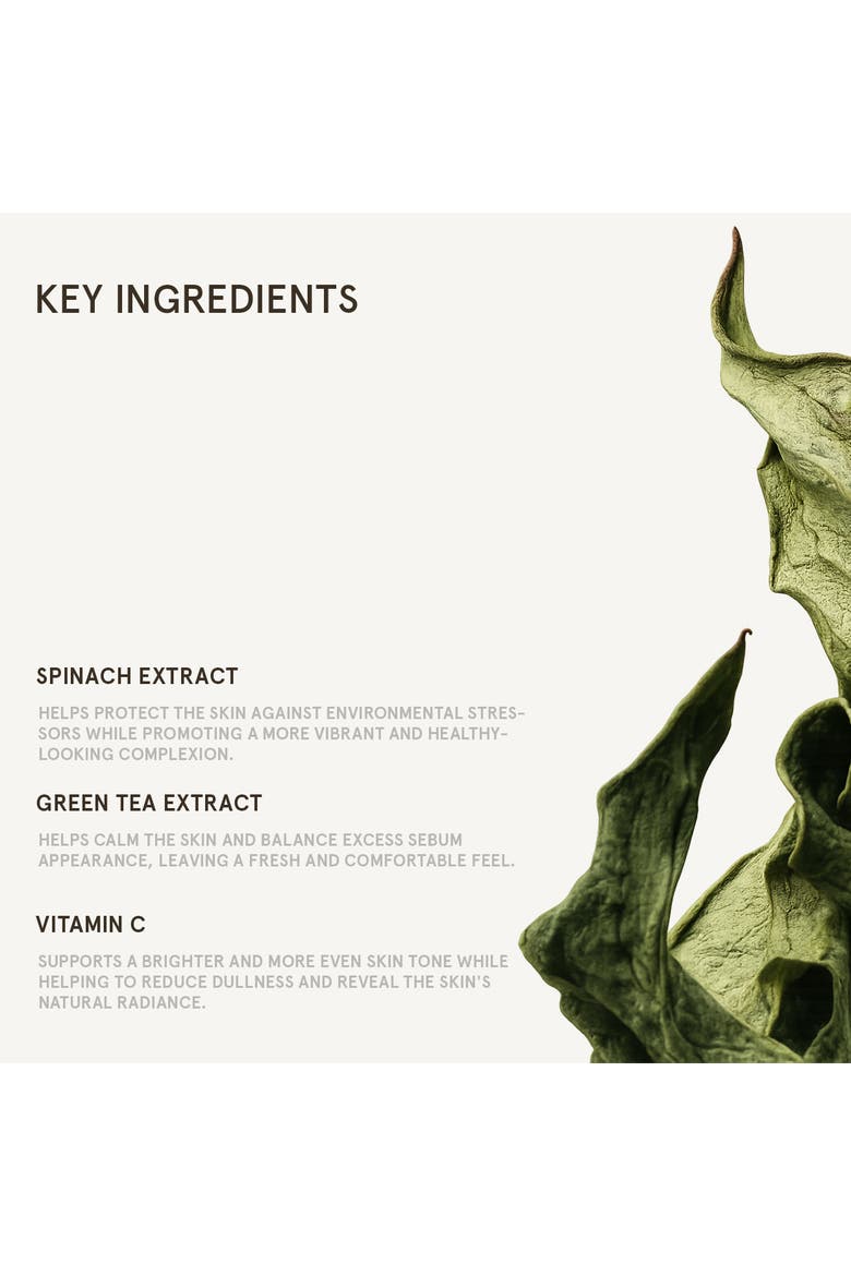 Spinach and Aloe Vera Face Cleanser, Alternate, color, No Color