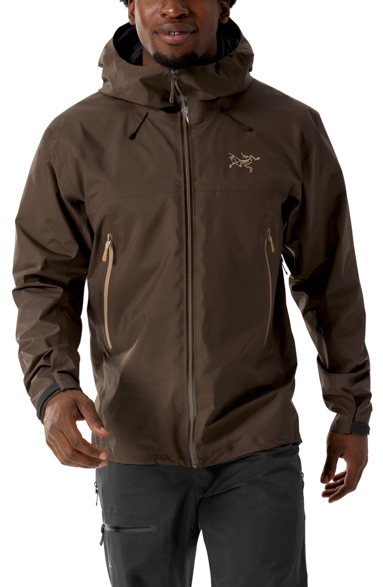 Beta SL Hybrid Gore-Tex Hooded Jacket - image 5