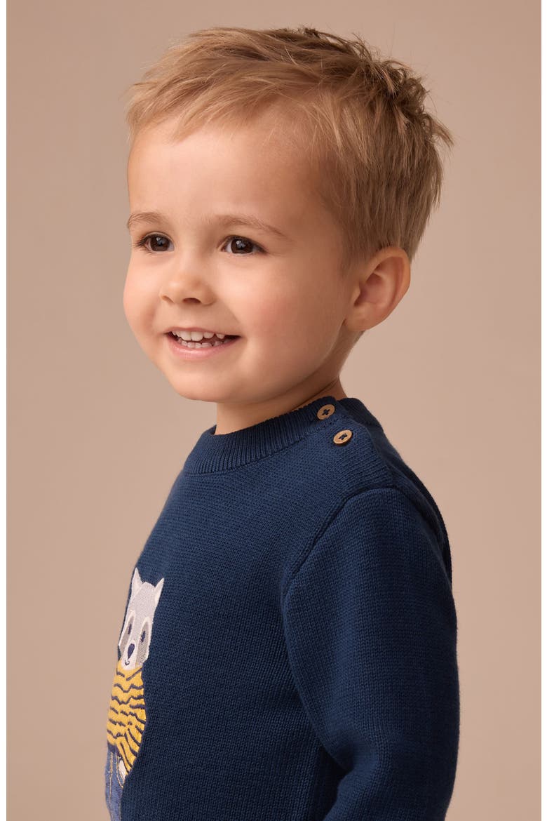 Kids' Raccoon Appliqué Sweater, Alternate, color, BLUE