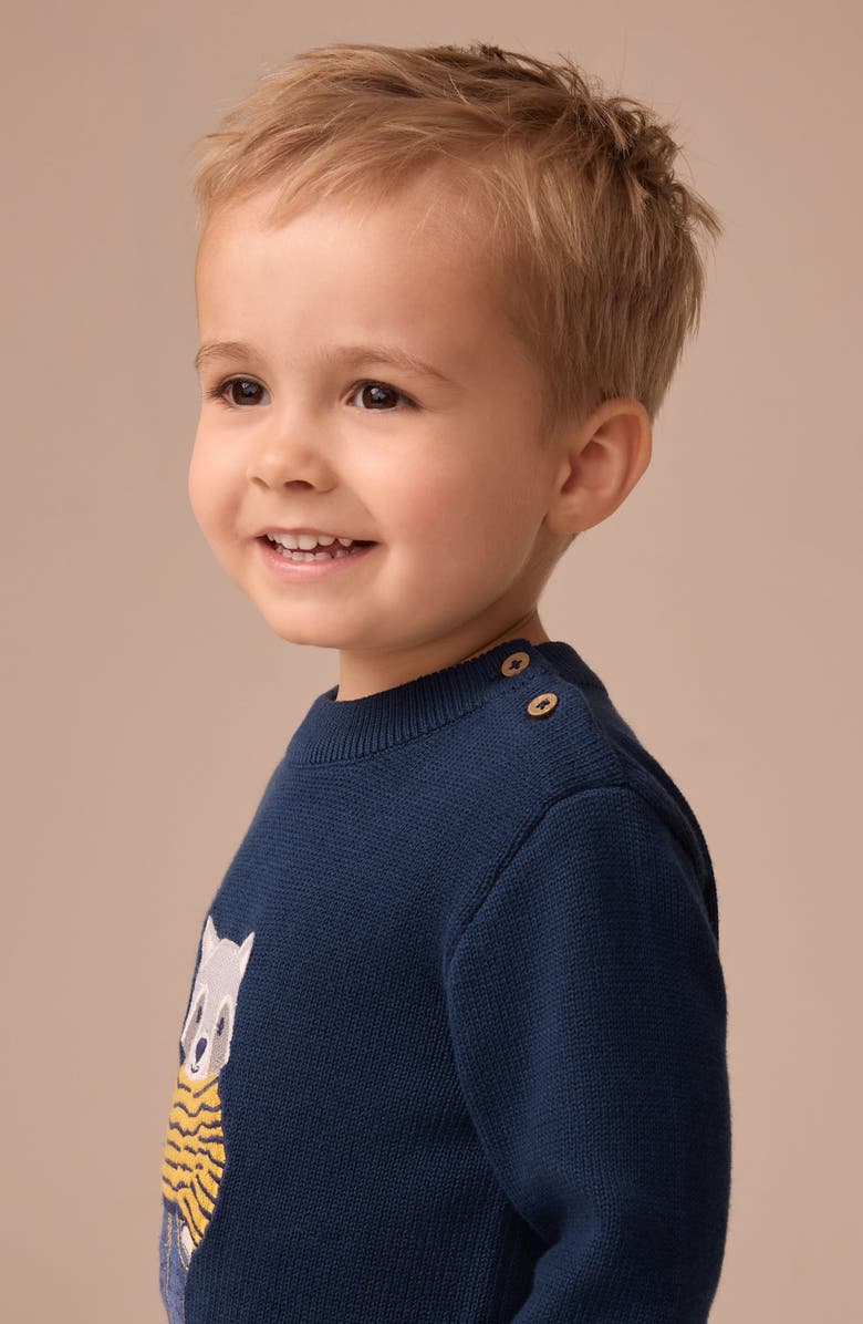 NEXT Kids' Raccoon Appliqué Sweater, Alternate, color, Blue