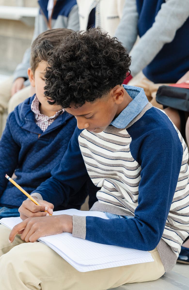 Hope & Henry Kids' Organic Long Sleeve Raglan Sweater, Alternate, color, Taupe Stripe