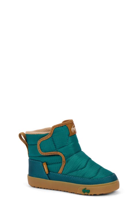 Teddy Winter Boot (Walker & Toddler)