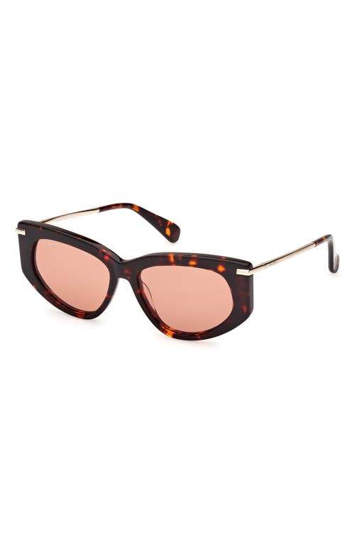 Max Mara Women's Dark Havana Beth Cat-eye Sunglasses In Dark Havana/brown