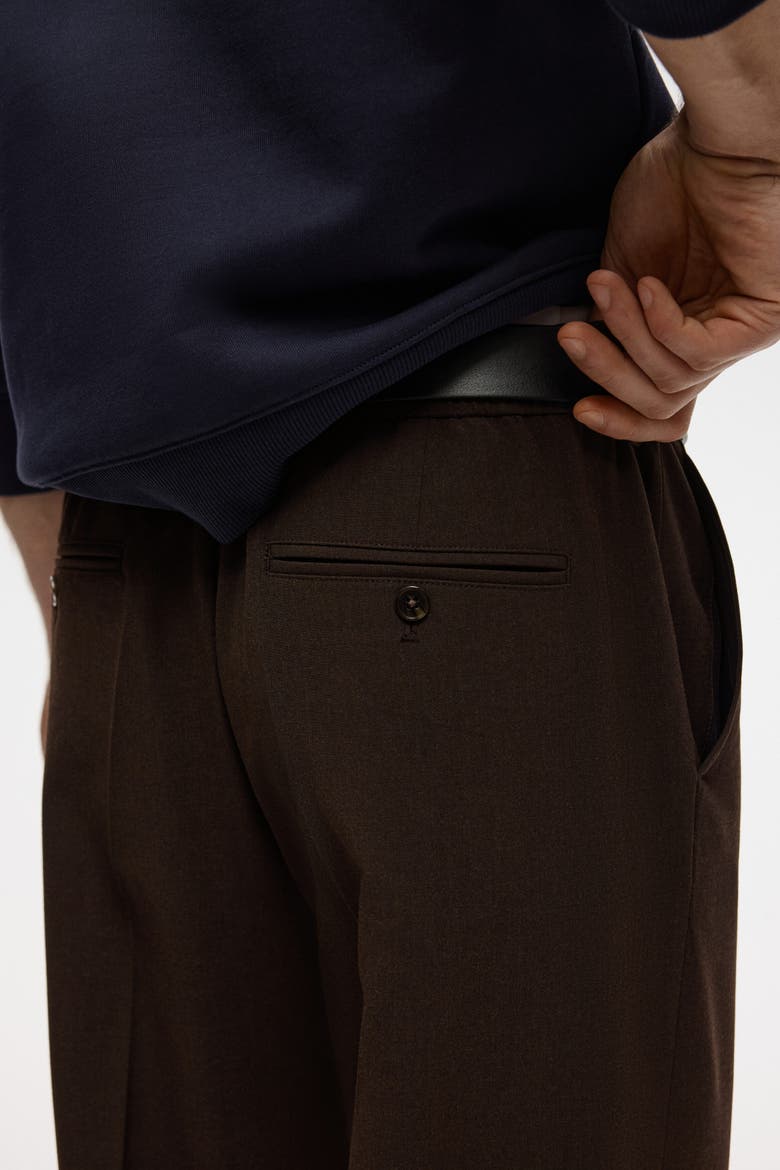 Relaxed Fit Trousers, Alternate, color, Dark brown