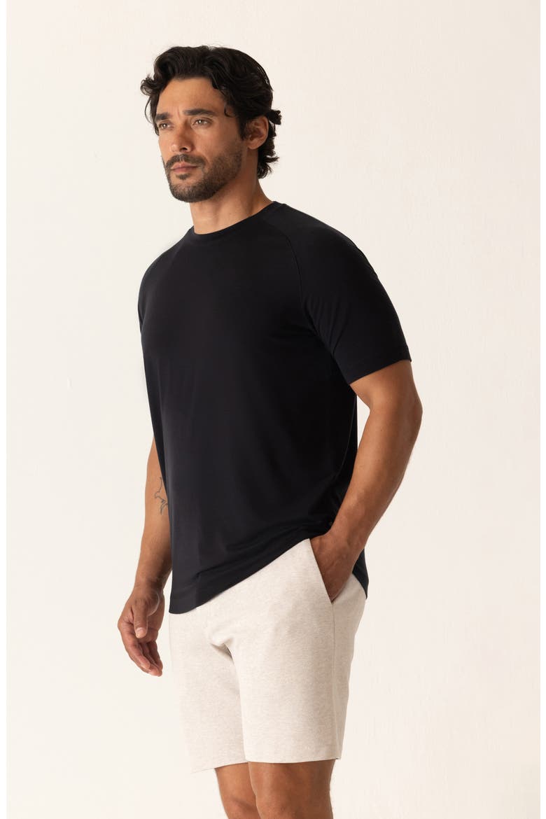 Raglan Sleeve T-Shirt, Alternate, color, BLACK