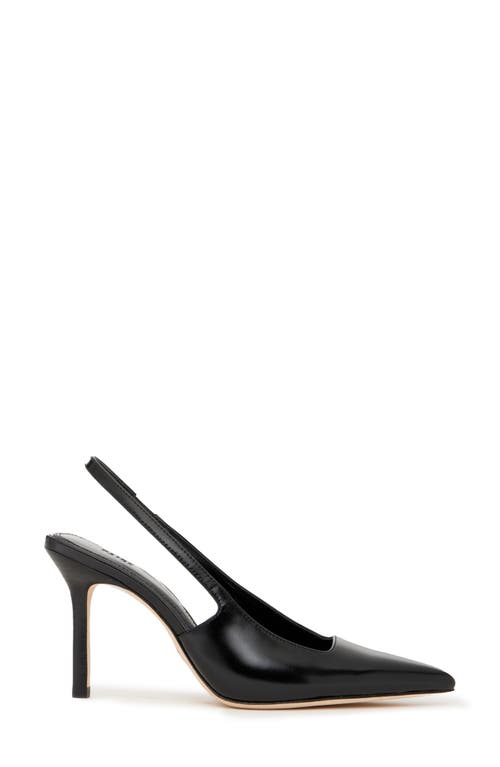 Paige Sienna Slingback Pointed Toe Pump In Black