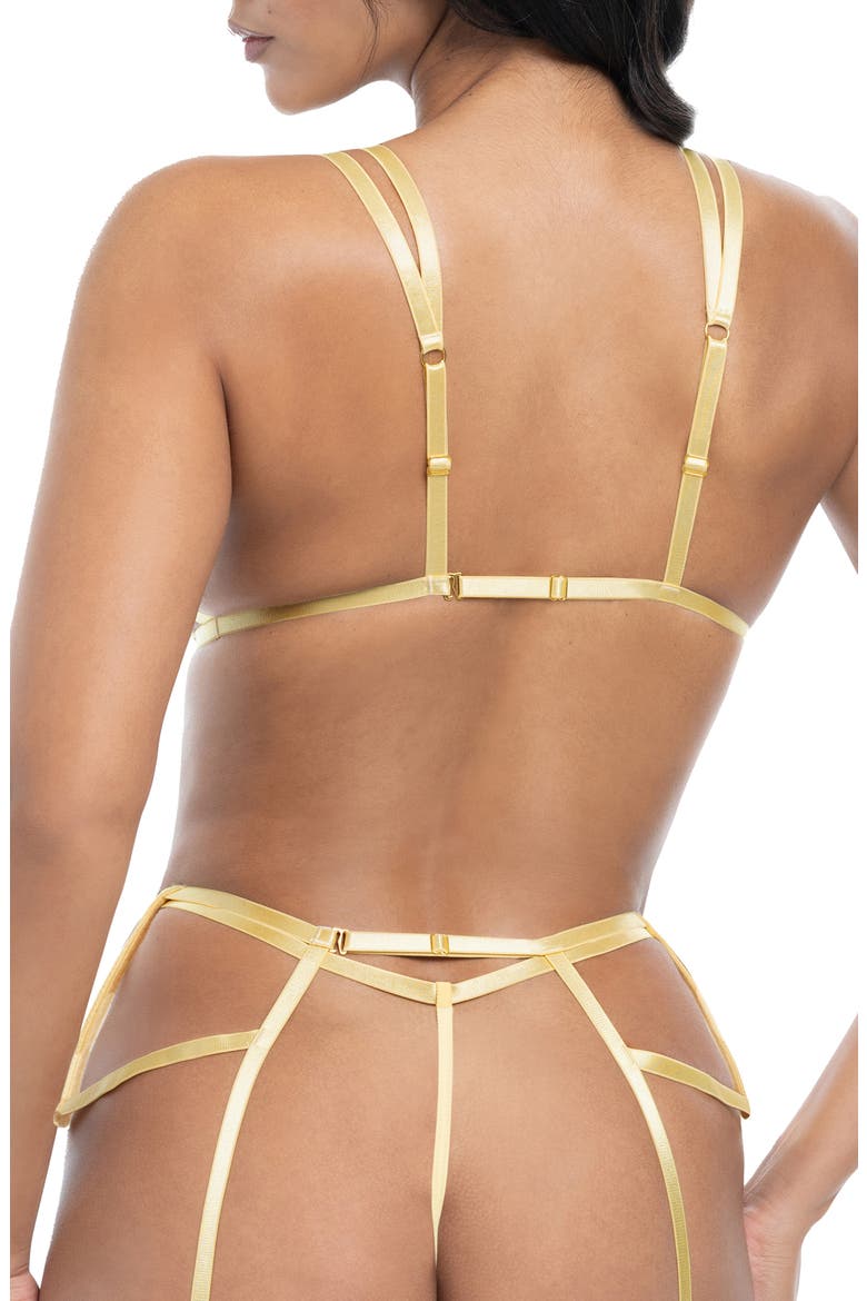 Corin Bra, G-String & Garter Belt Set, Alternate, color, PALE BANANA