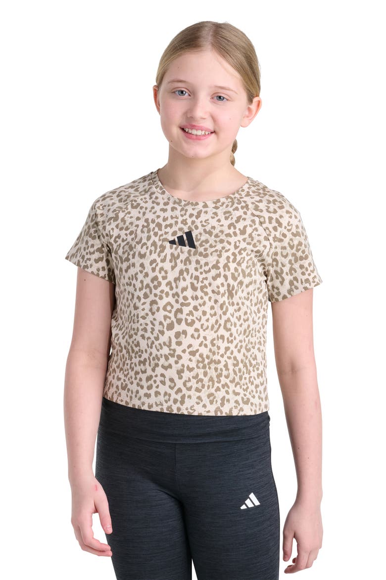 Kids' Leopard Print Raglan T-Shirt, Main, color, MEDIUM BEIGE