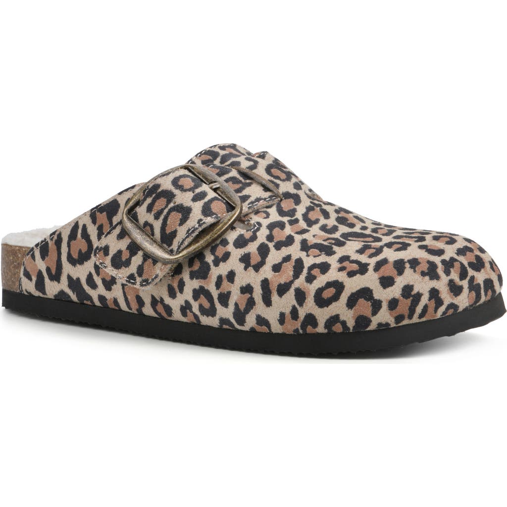 Cliffs By White Mountain Big Easy Buckle Mule In Multi