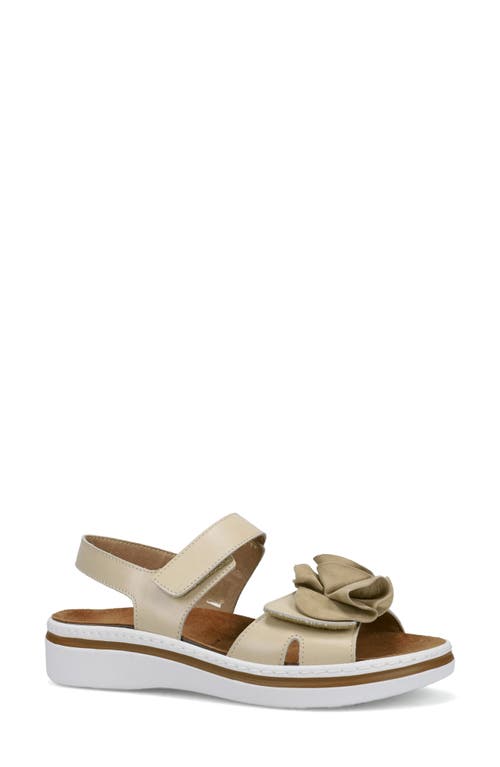 Ron White Frances Slingback Platform Wedge Sandal In Dune