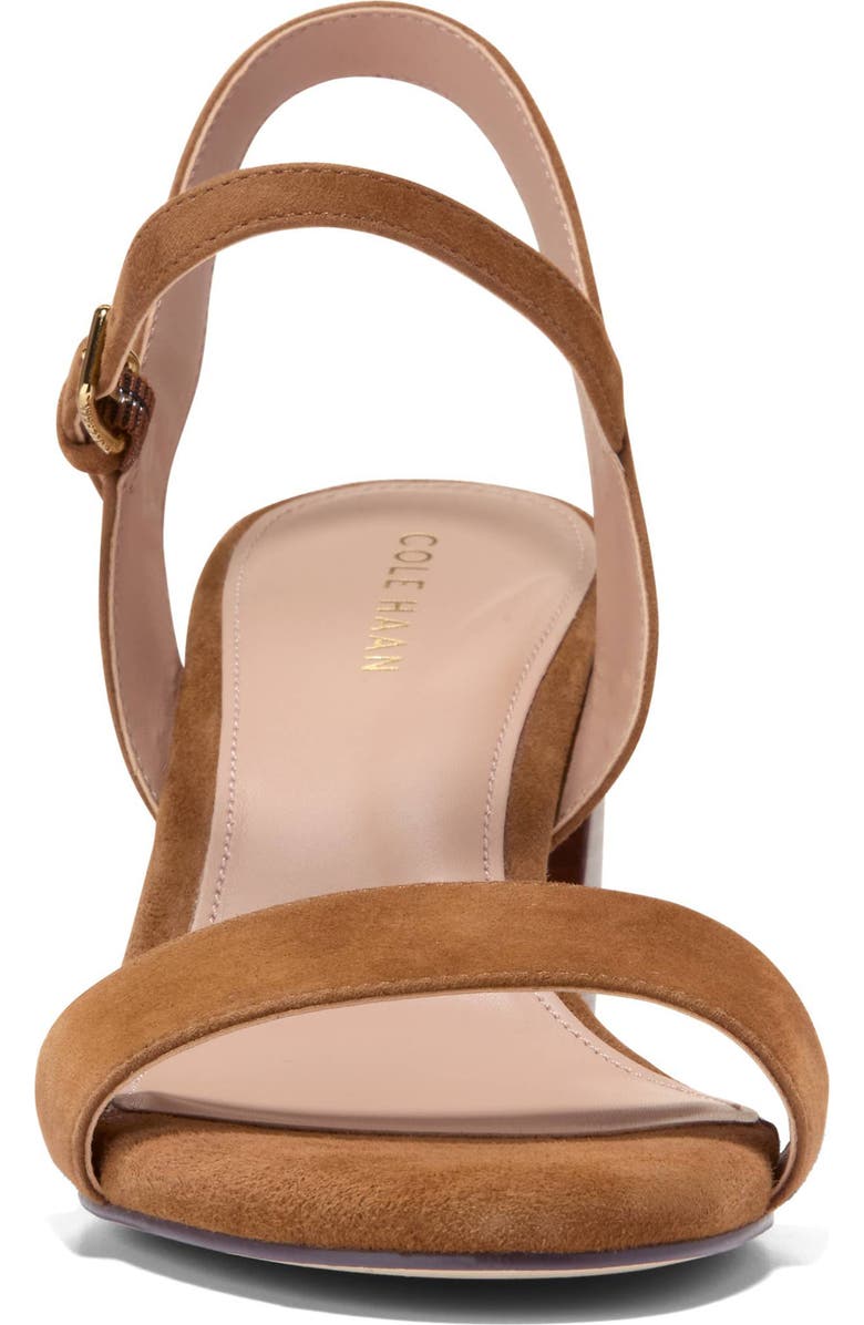 Cole Haan Josie Block Heel Sandal, Alternate, color, Tobacco Suede / Stacked Heel