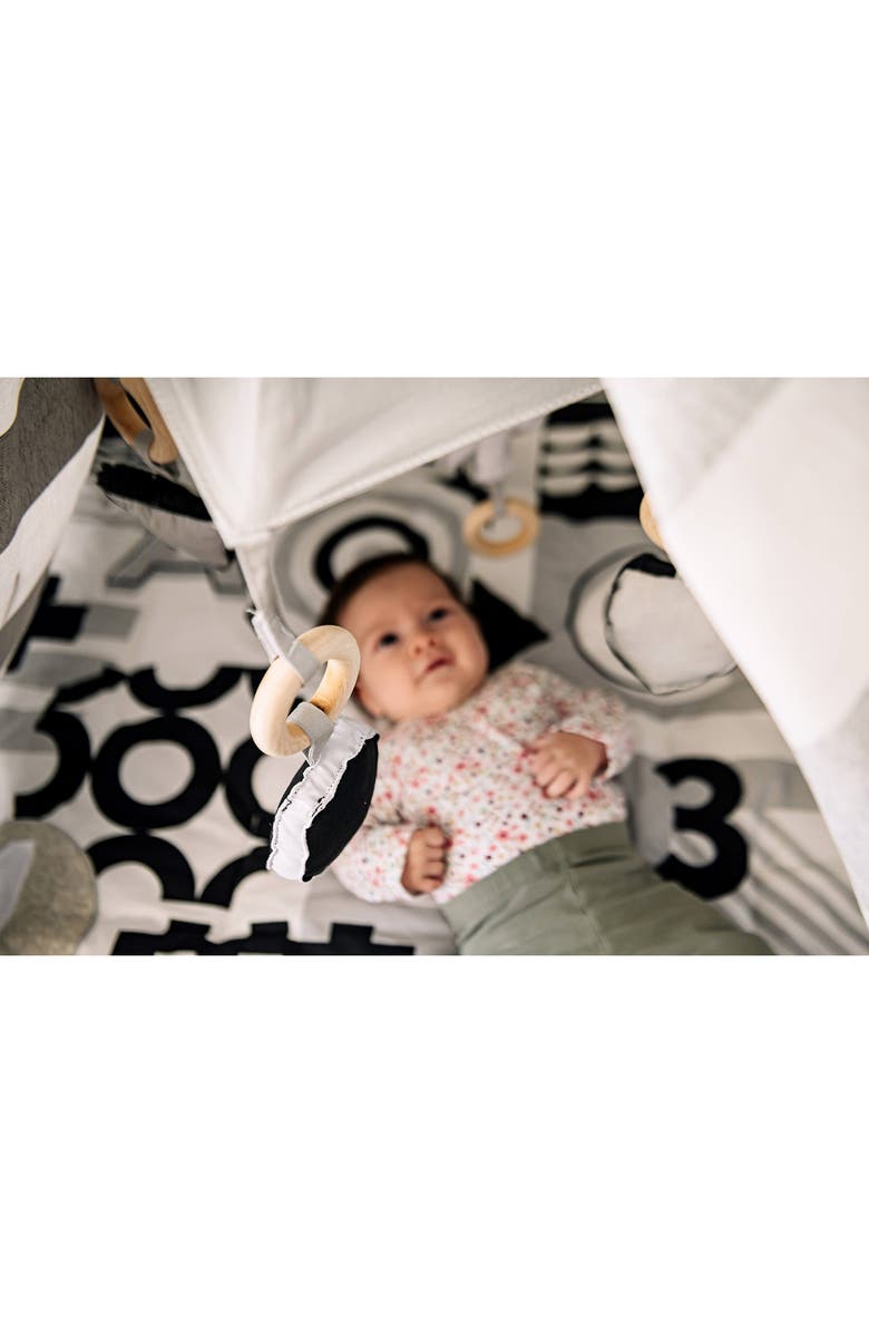 Wonder & Wise by Asweets ABC Baby Activity Tent, Alternate, color, Multi