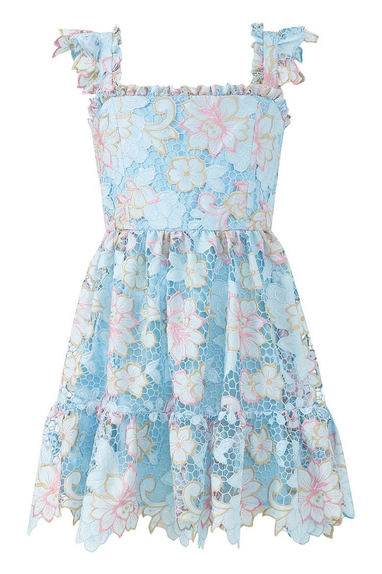 Lilia Embroidered Mini Dress, Main, color, Floral