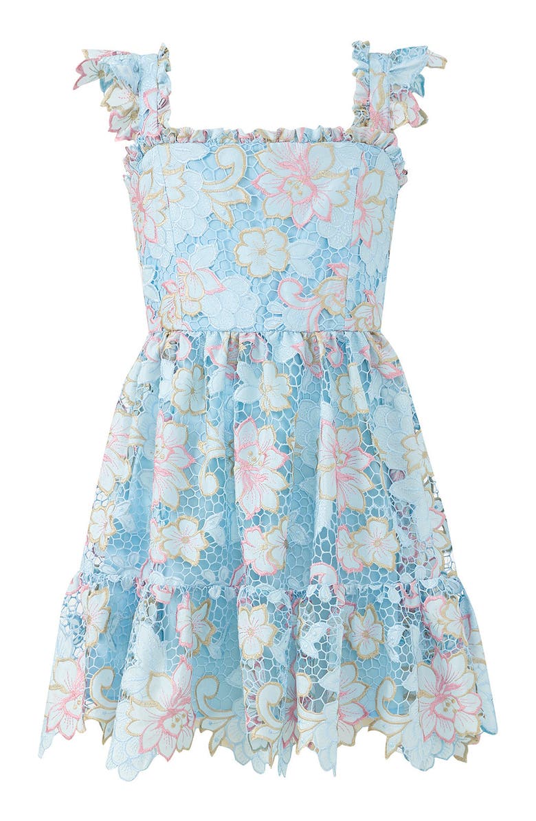 Marlo Kids Lilia Embroidered Mini Dress, Main, color, Floral