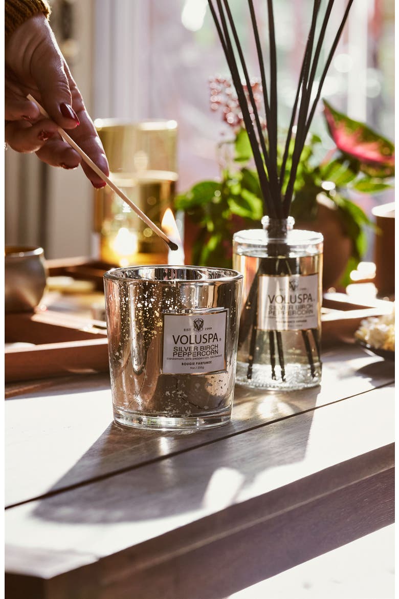 Silver Birch & Peppercorn Classic Candle, Alternate, color, SILVER BIRCH