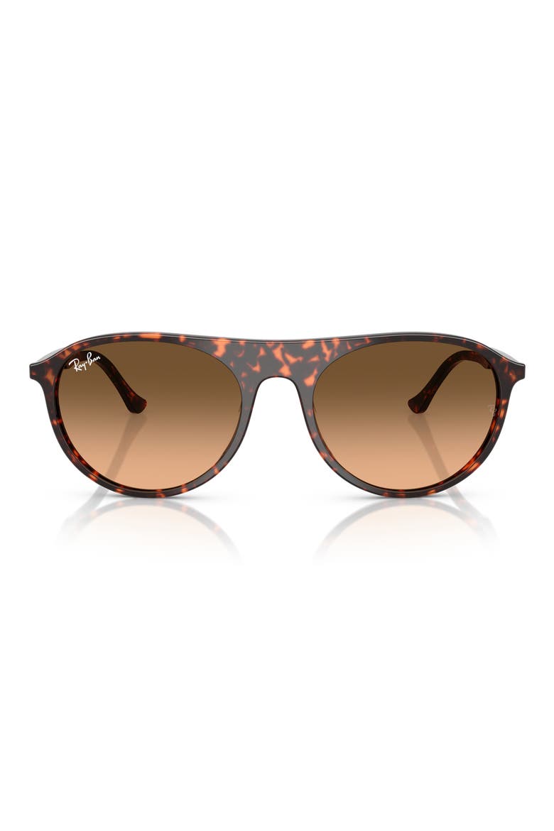 56mm Oval Sunglasses, Main, color, RED HAVANA