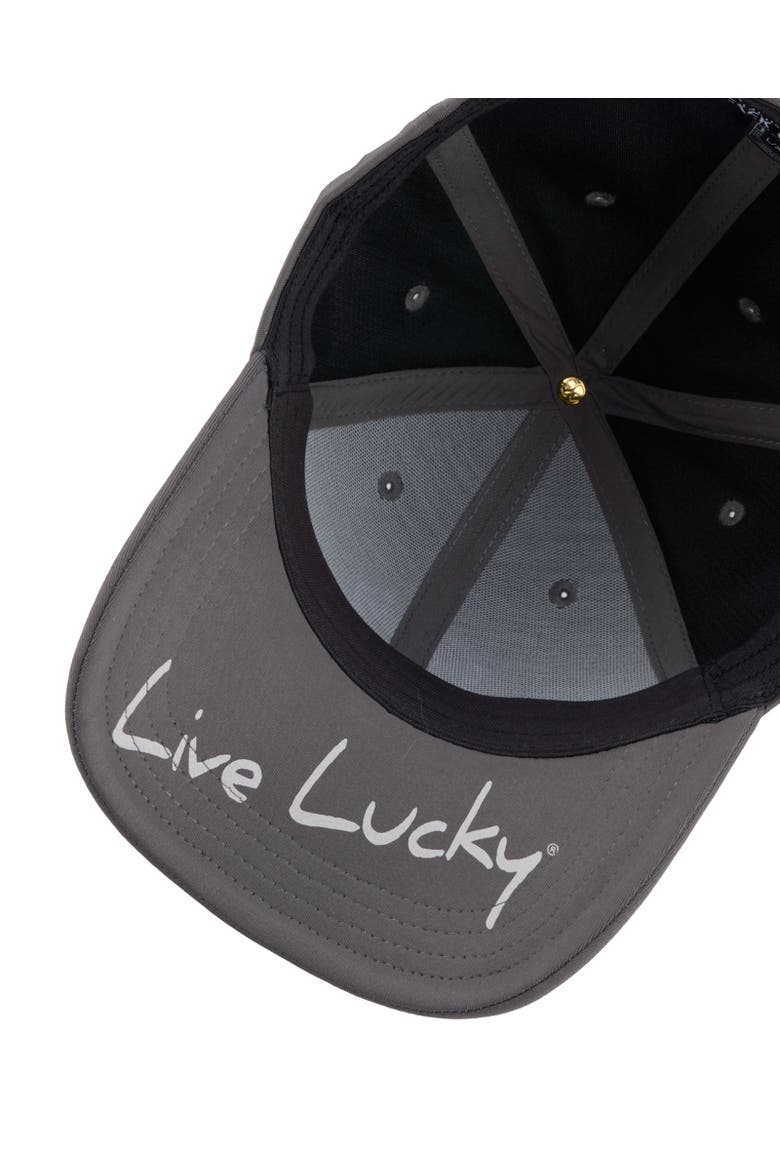 Premium Clover 137 Hat, Alternate, color, Grey