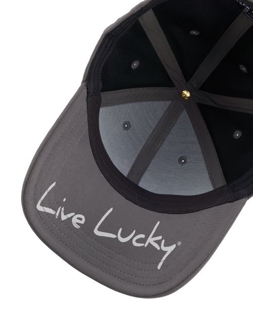 Black Clover Premium Clover 137 Hat In Brown