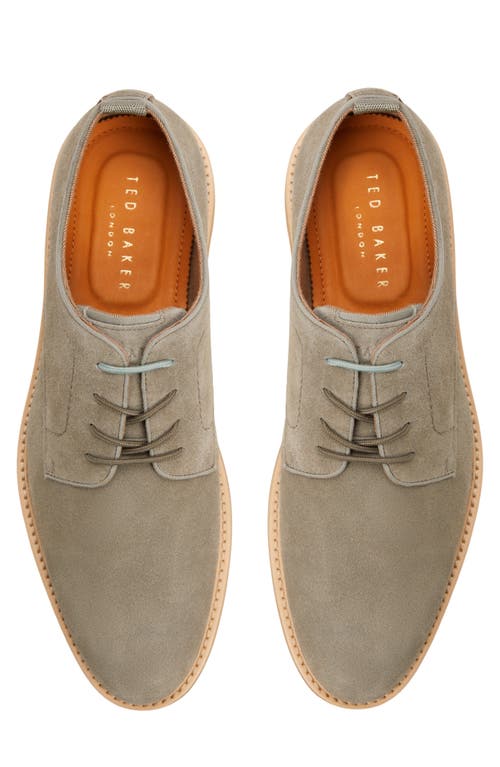 Ted Baker London Rye Derby In Light Sage