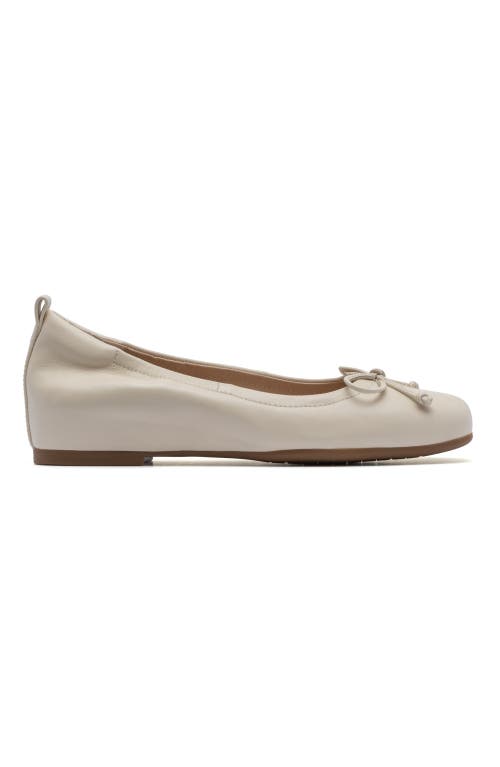 Abeo Cadence Bow Ballet Flat In Off White Leather - Regular