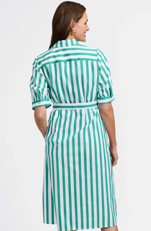 Foxcroft Esther Stripe Shirtdress In Kelly Green/white