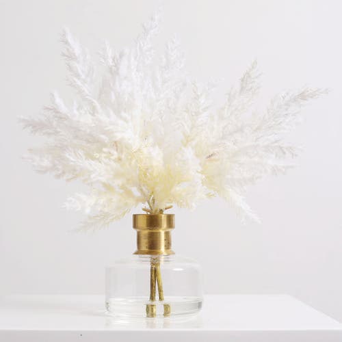 Darby Creek Trading Bleached Pampas Grass Arrangement
