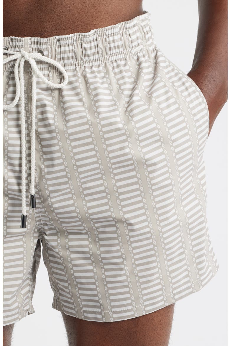 Cruz Geo Print Swim Trunks, Alternate, color, DESERT