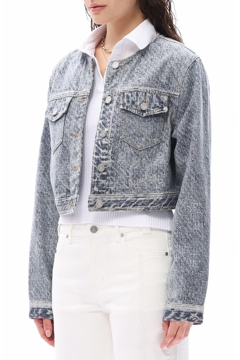 Print Denim Jacket, Alternate, color, MEDIUM BLUE