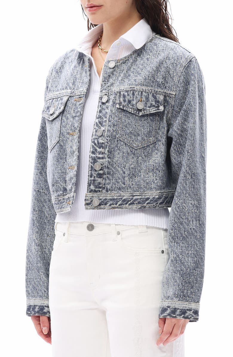 Bayeas Print Denim Jacket, Alternate, color, Medium Blue