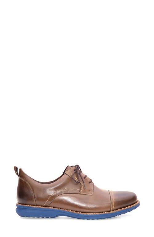 Sandro Moscoloni Jared Straight Tip Blucher Oxford In Brown