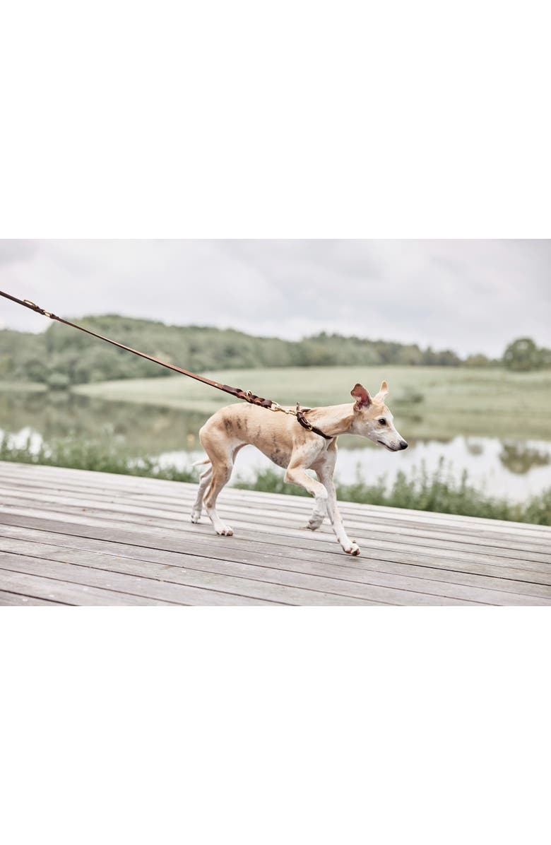 OYOY Robin Dog Leash, Alternate, color, Choko