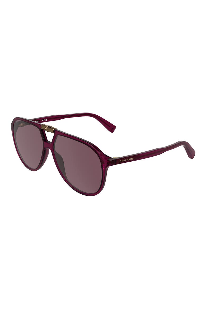 Roseau 58mm Aviator Sunglasses, Alternate, color, TRANSPARENT BURGUNDY
