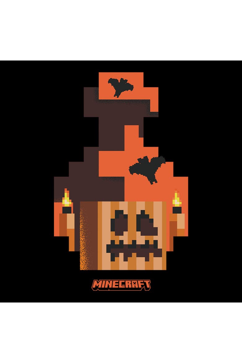 Boys Minecraft Pumpkin Bats On Fire T Shirt, Alternate, color, Black
