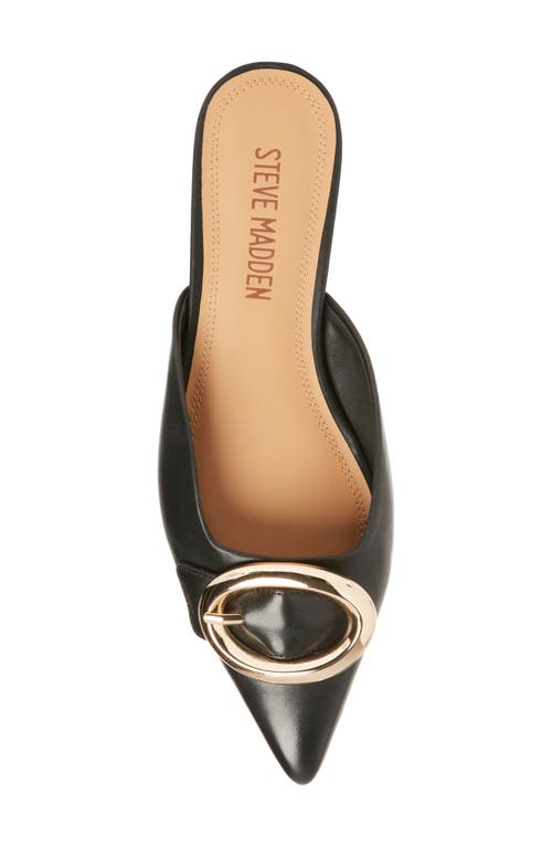 Steve Madden Ira Pointed Toe Mule
