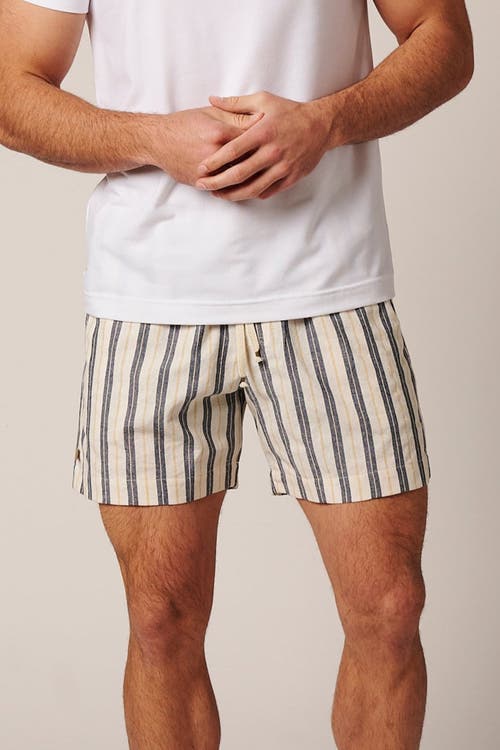 Leisure Lab Catalina Shorts In Blue Stripes
