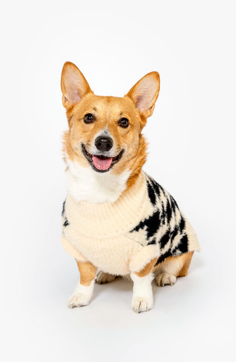 the furryfolks Pixmond Pet Sweater & Crew Socks Set, Alternate, color, Ivory