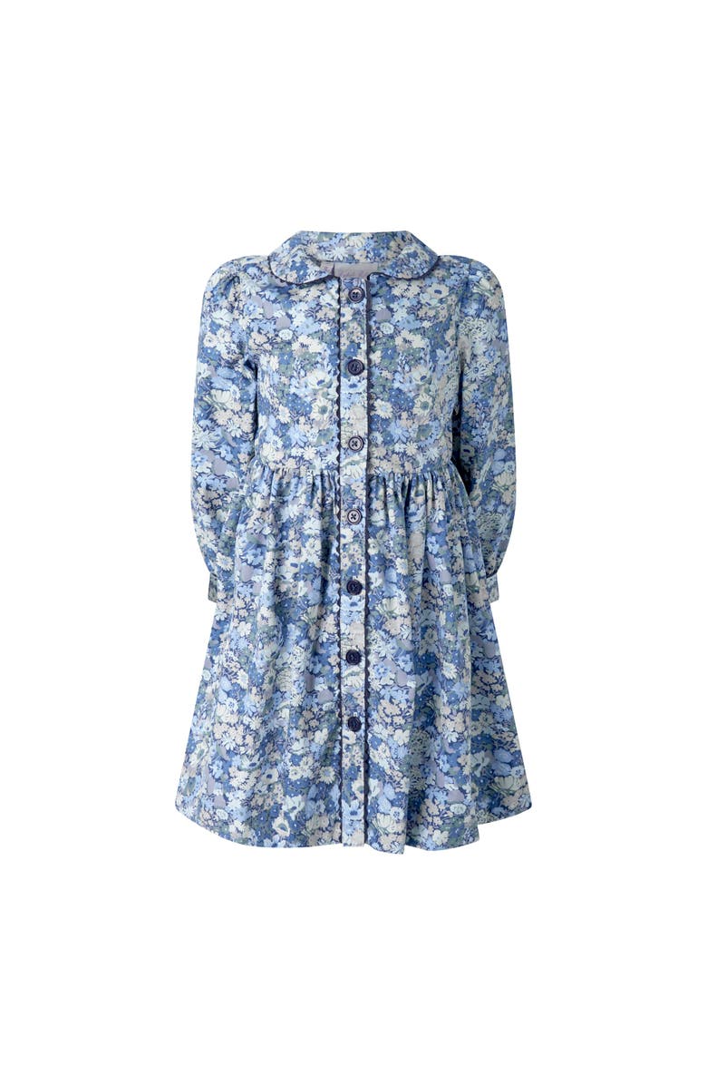 Rachel Riley Blue Floral Button-Front Dress, Alternate, color, Blue