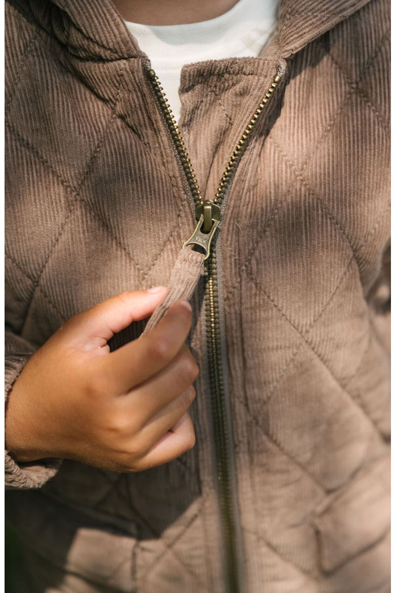 Organic Cotton Corduroy Quilted Hooded Jacket, Alternate, color, BROWN