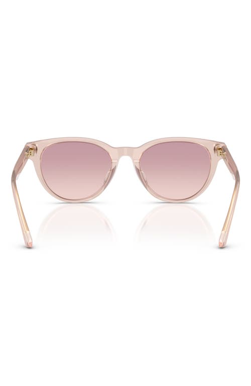 Jimmy Choo Trace 53mm Phantos Sunglasses