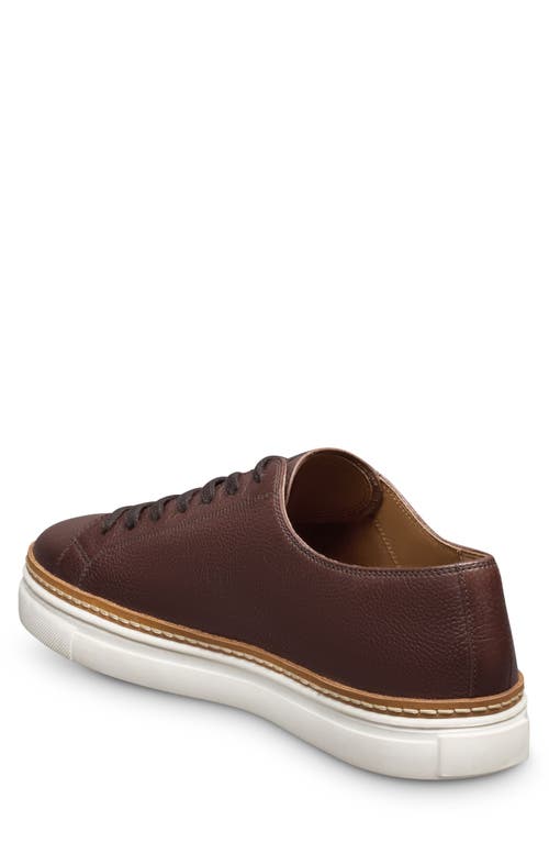 Allen Edmonds Percy Low Top Sneaker In Brown