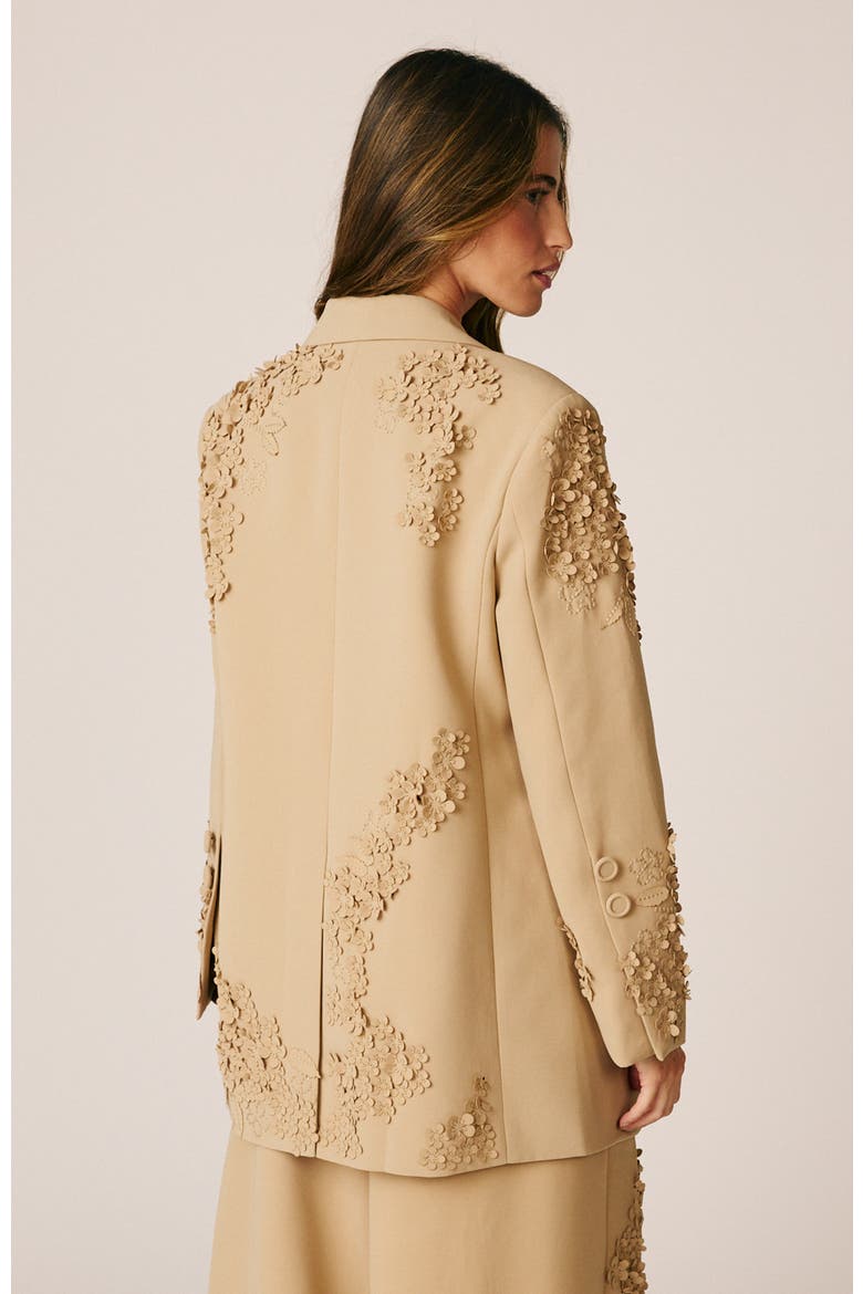 Embroidered Floral Blazer, Alternate, color, Beige